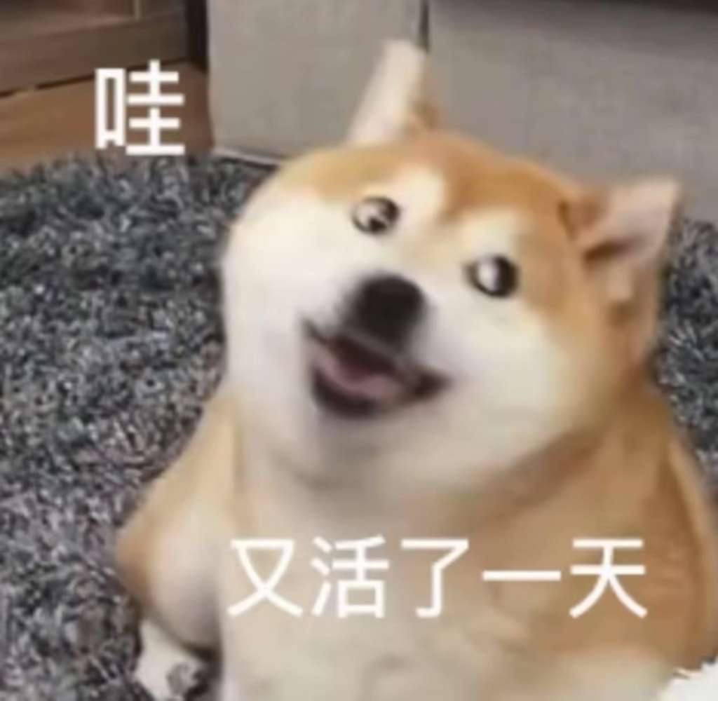 恂云发布的第1张图片