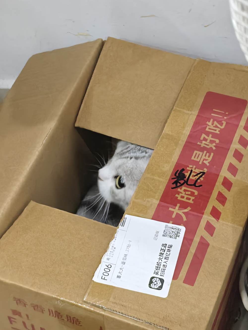 晚风告白发布的第1张图片