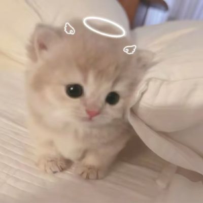 唱歌🎤（有点要命）服务图片1