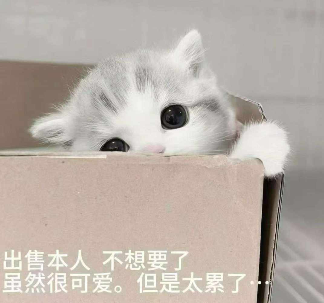是我不够好发布的第1张图片