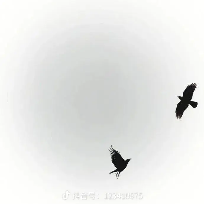 打赏图片1