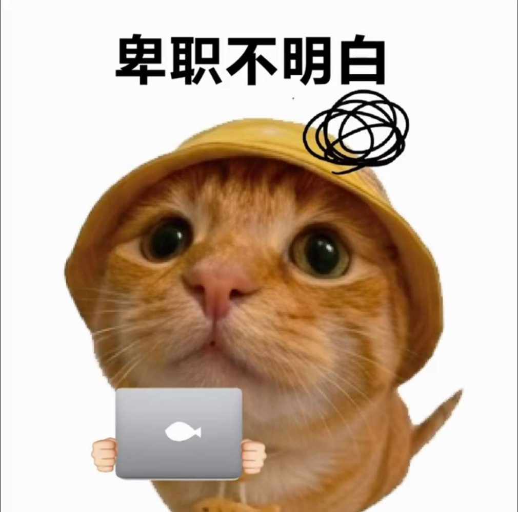 娃娃音发布的第1张图片