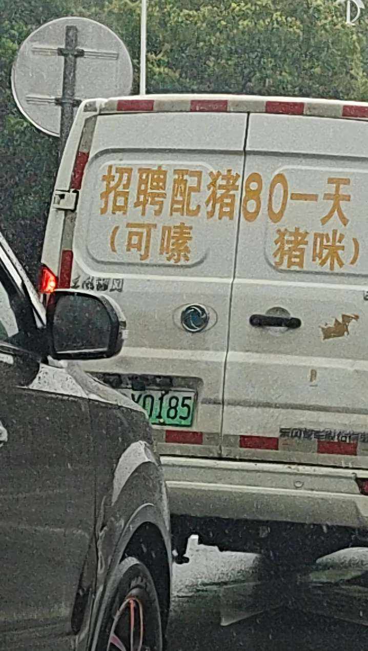 无忧仔_1zjo发布的第1张图片