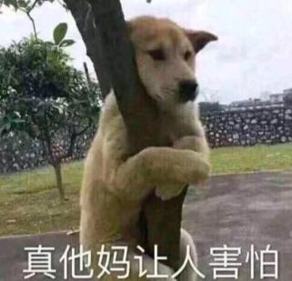 独自深夜乘坐公交被八个少妇轮流让座发布的第2张图片