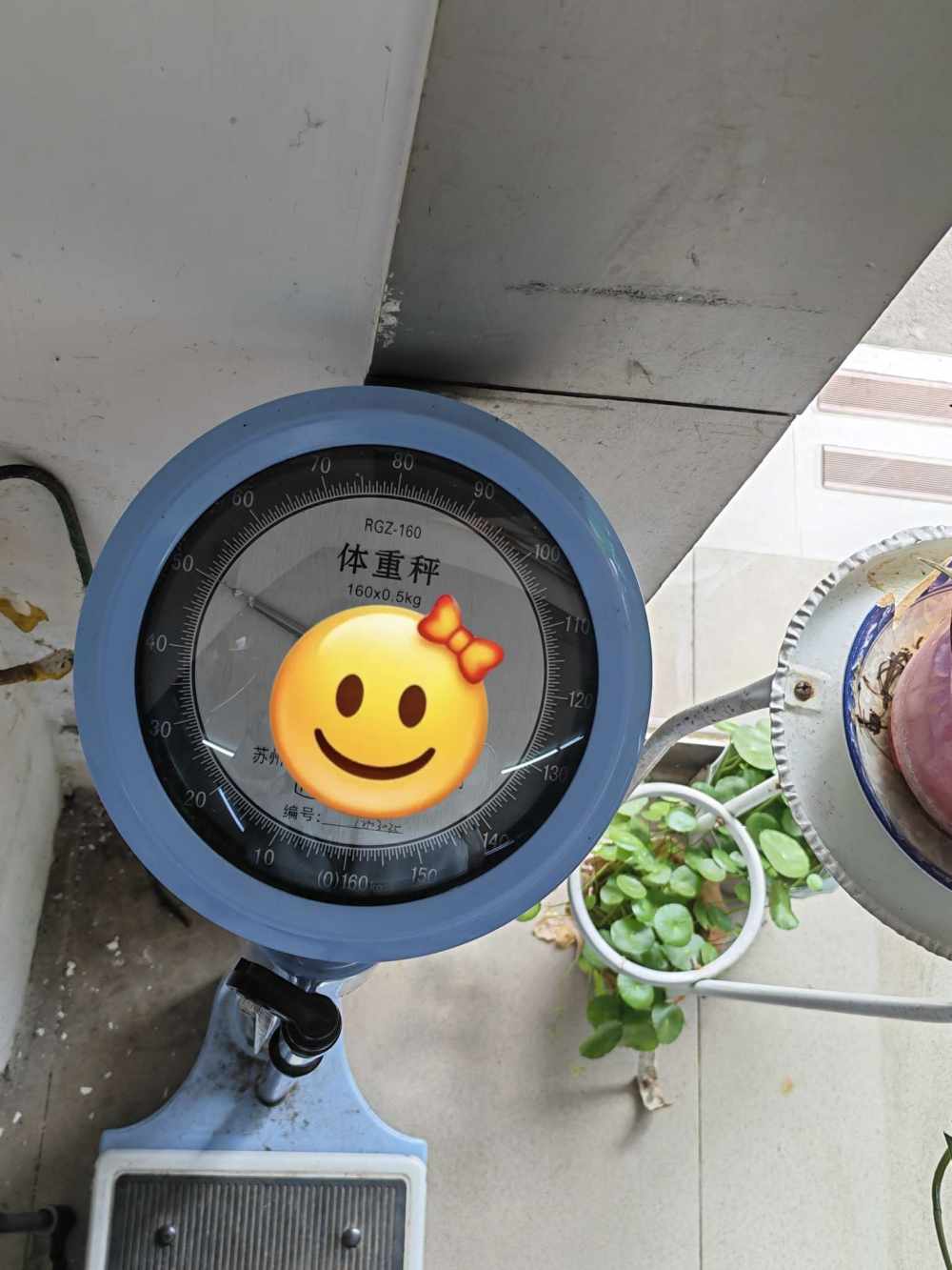 苏樱🌸发布的第1张图片