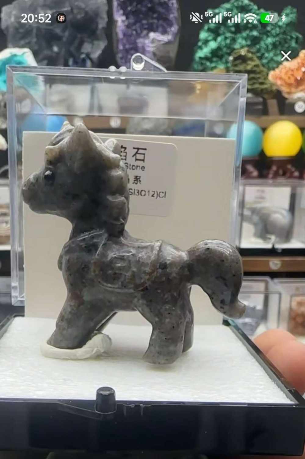 浮想发布的第1张图片