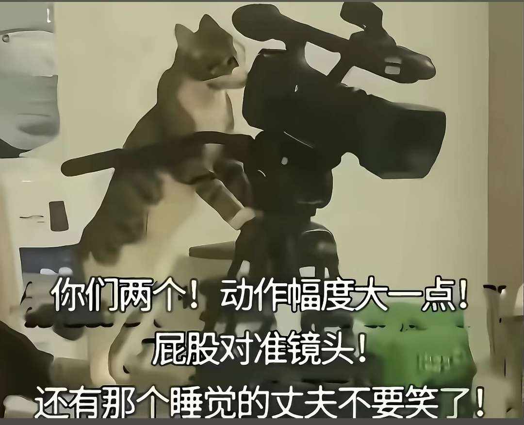 禁果发布的第1张图片