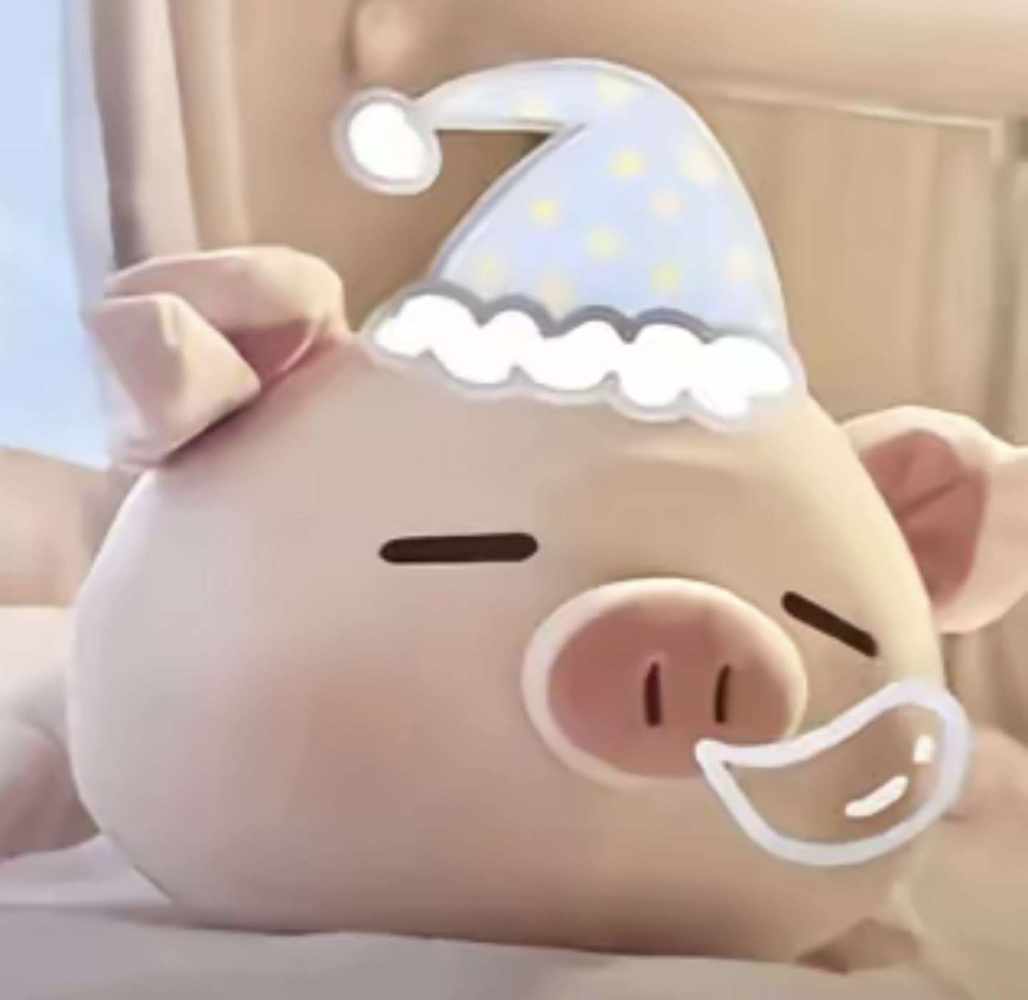 喵卷发布的第1张图片