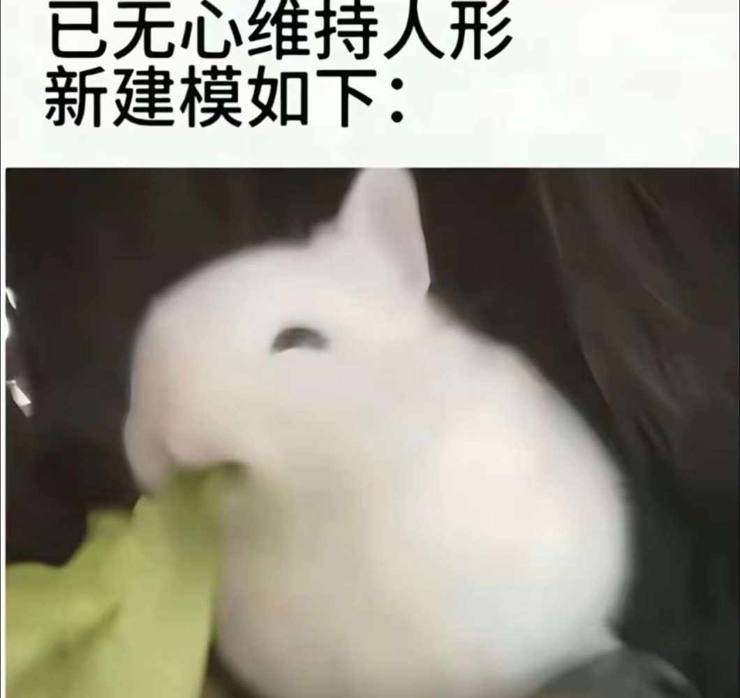 .卿月.发布的第1张图片