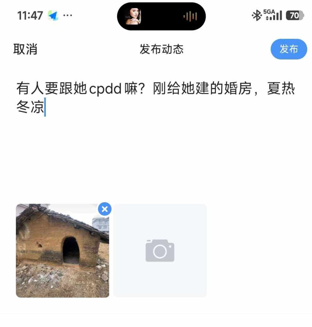 公老虎，发布的第1张图片