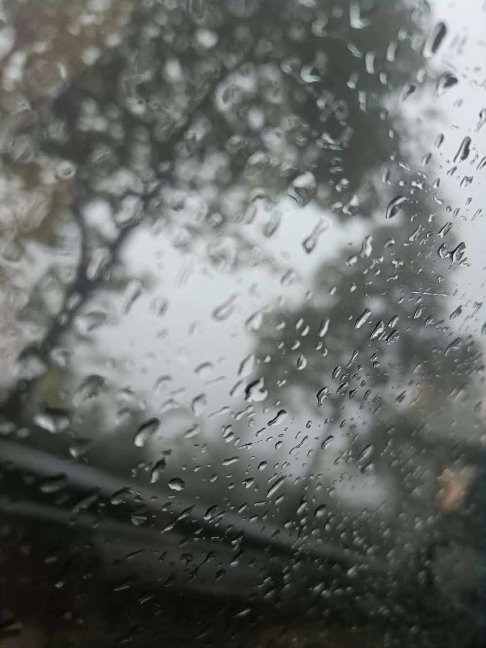 会喵喵叫发布的第1张图片