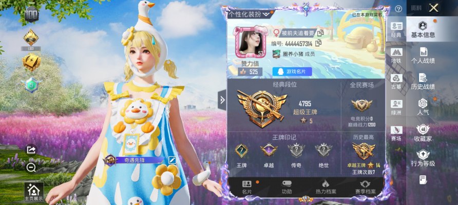 和平精英服务图片1