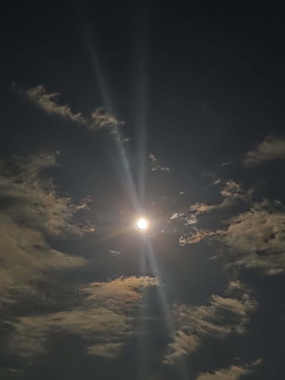 月亮轻颤发布的第1张图片