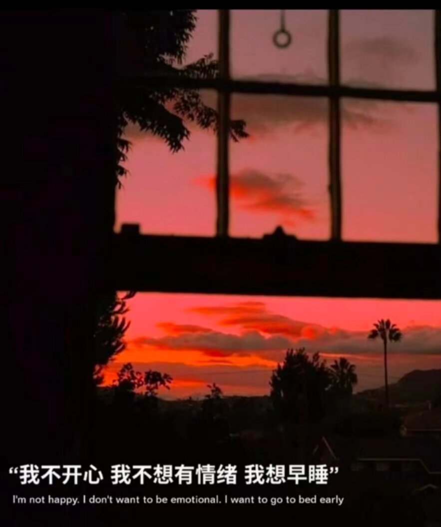 陈烦烦发布的第1张图片