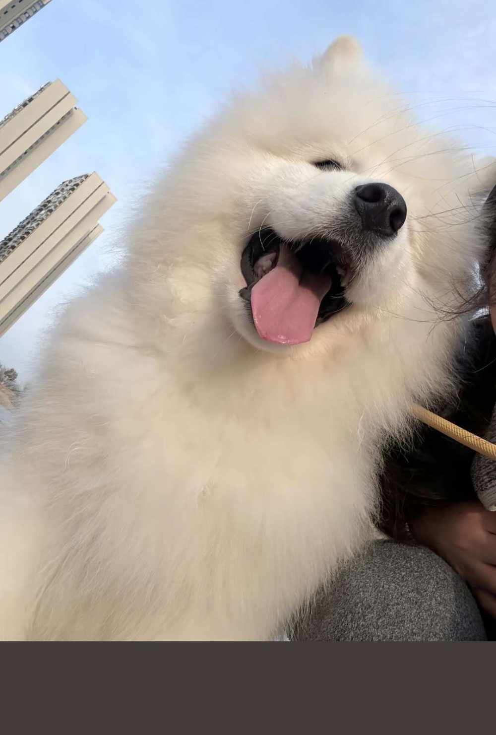 许小乖发布的第1张图片