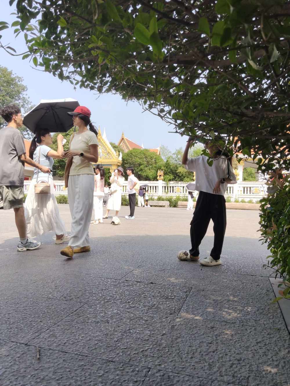 接单王中王发布的第1张图片