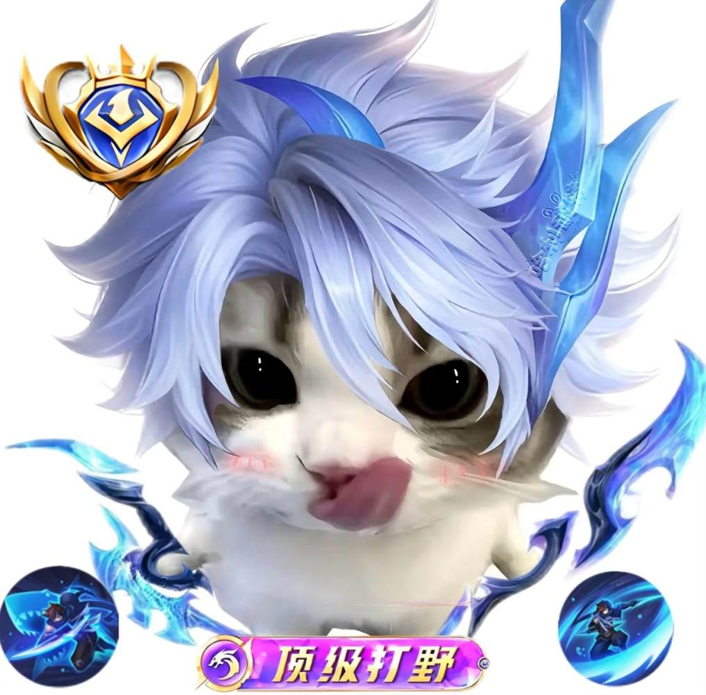 包赢单图片1