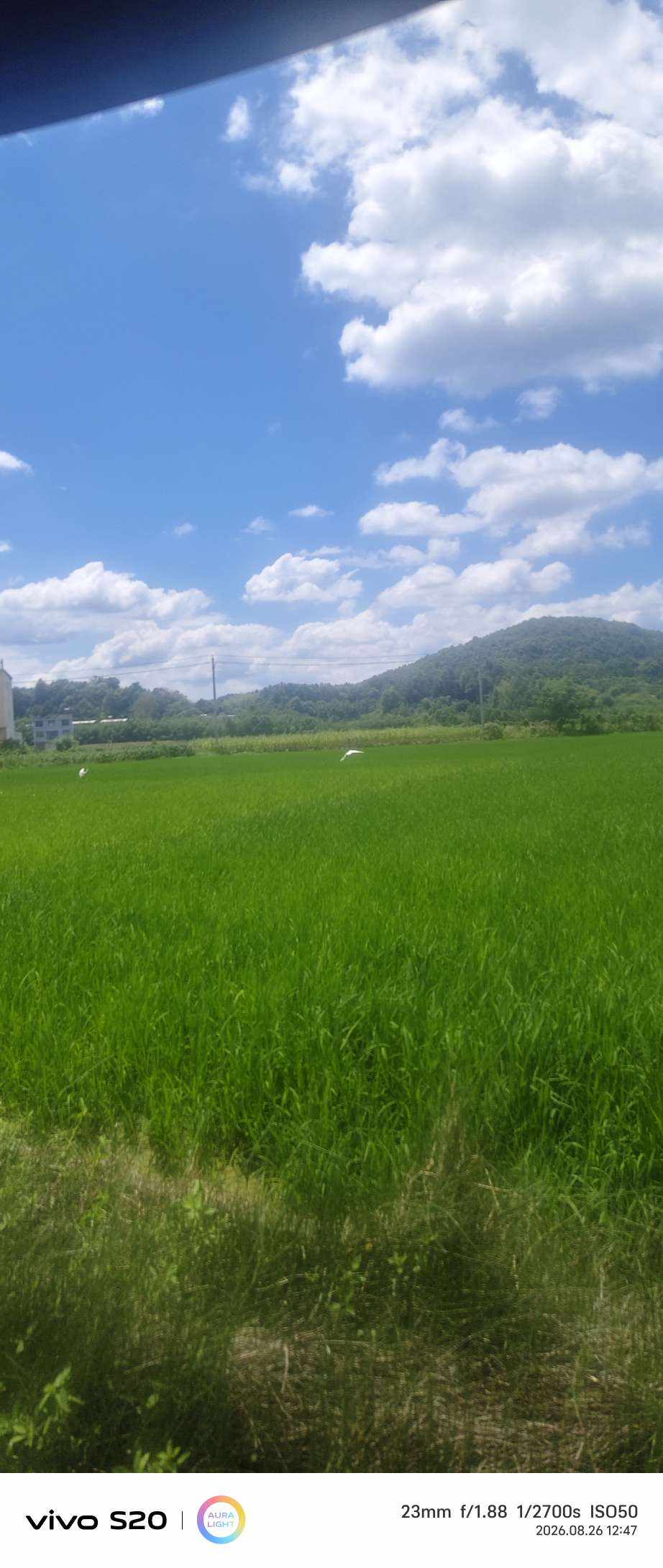 金妗发布的第1张图片
