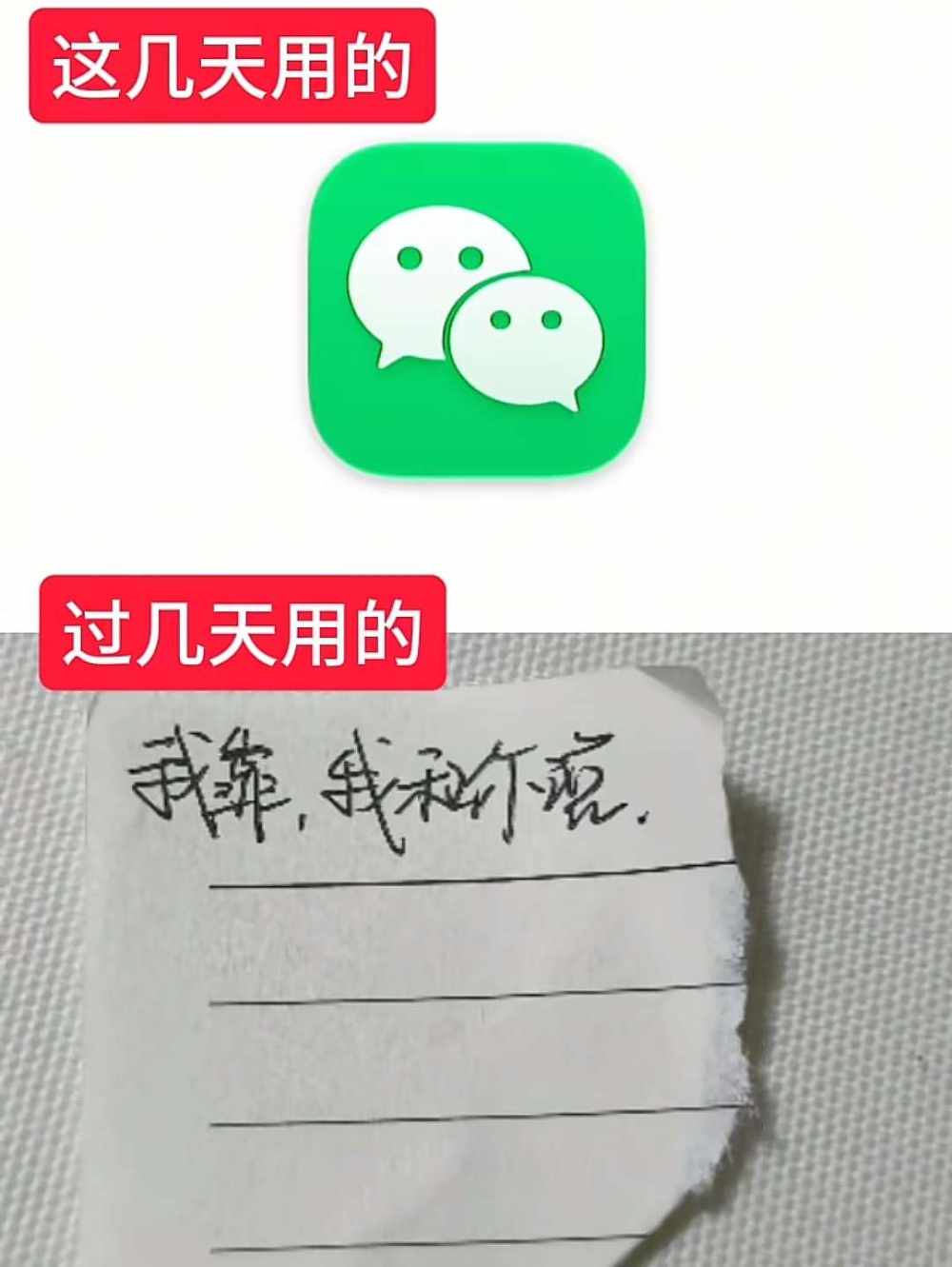 晚木发布的第1张图片