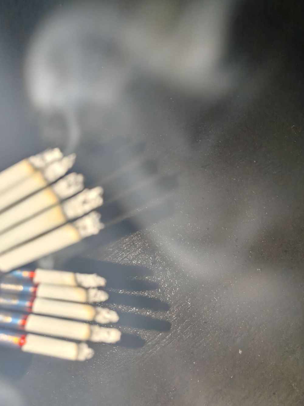 少爷命发布的第1张图片