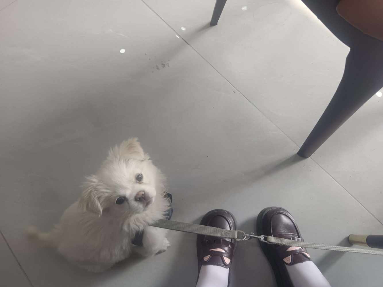 喜欢妈妈嘛发布的第1张图片
