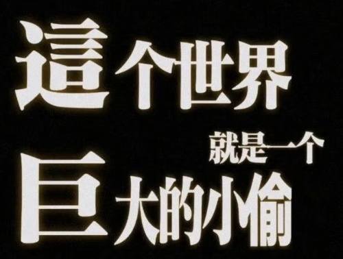 喵卷发布的第1张图片