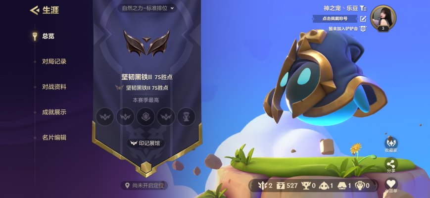 金铲铲之战服务图片1