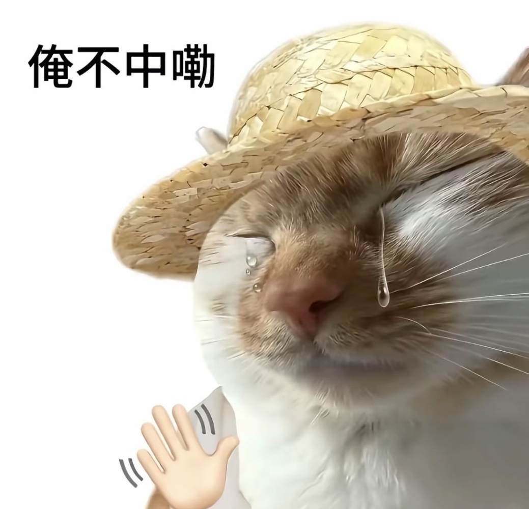 恂云发布的第1张图片