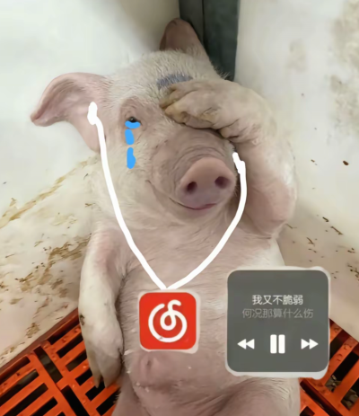 打赏服务图片1