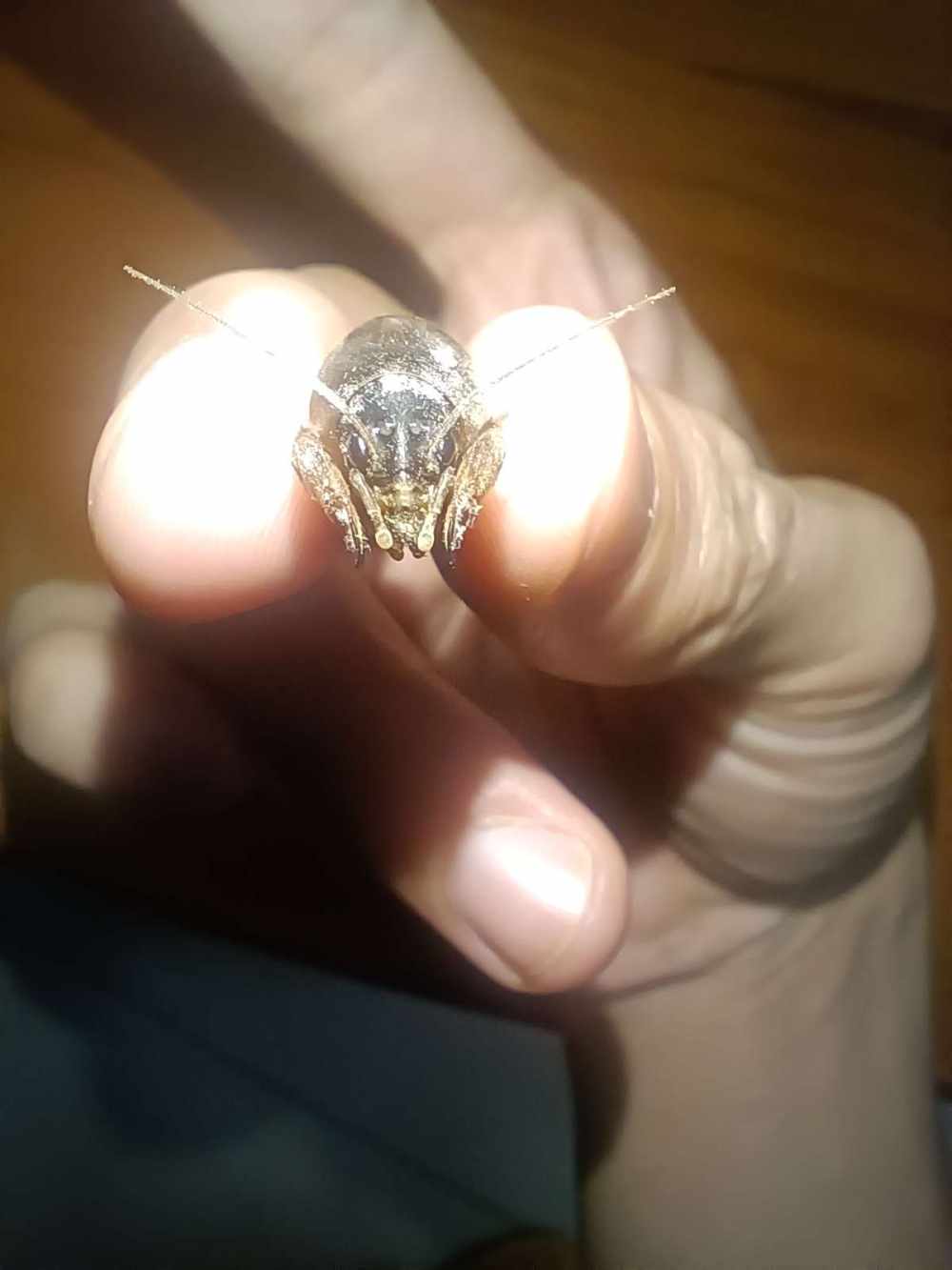 ت比卡啾发布的第2张图片