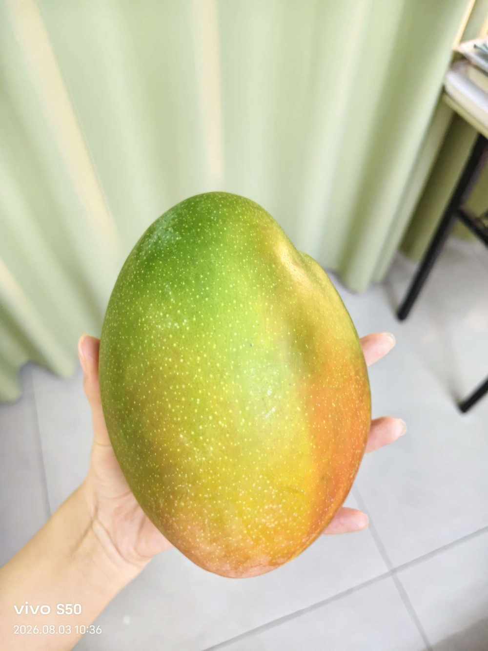 奚郁发布的第1张图片