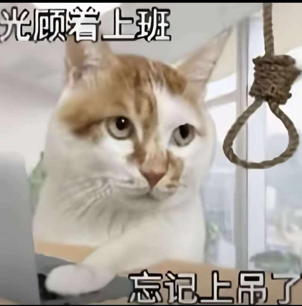 博:发布的第4张图片