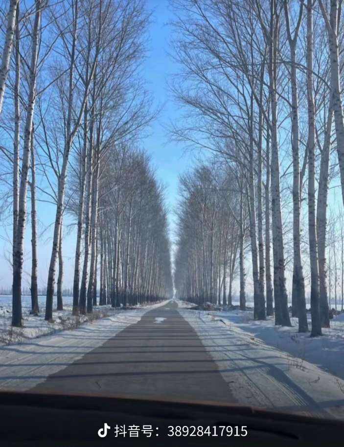 小欢、发布的第1张图片