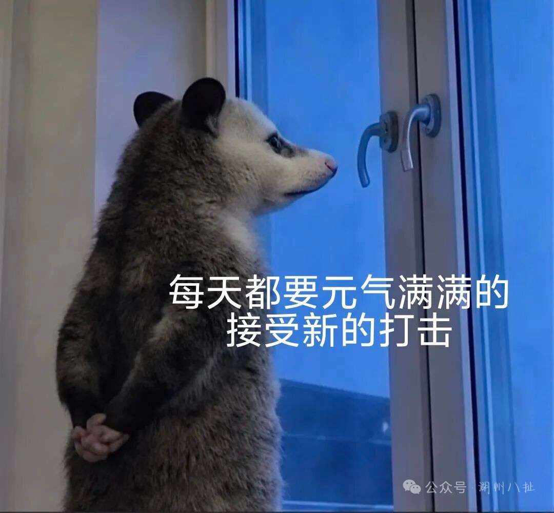 夺舍的狼发布的第1张图片