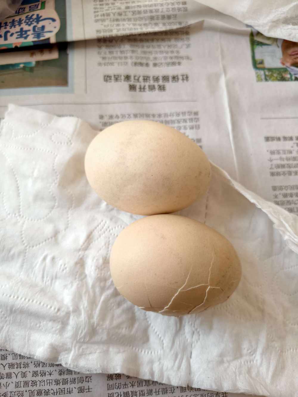 丫米丫米发布的第1张图片