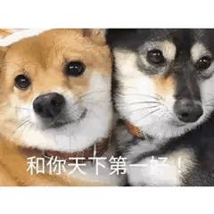 善 意发布的第1张图片