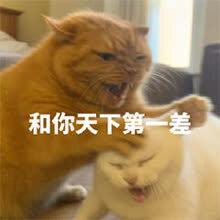 善 意发布的第2张图片