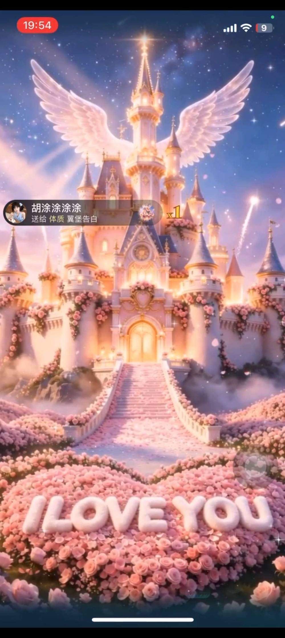 猫舍发布的第1张图片