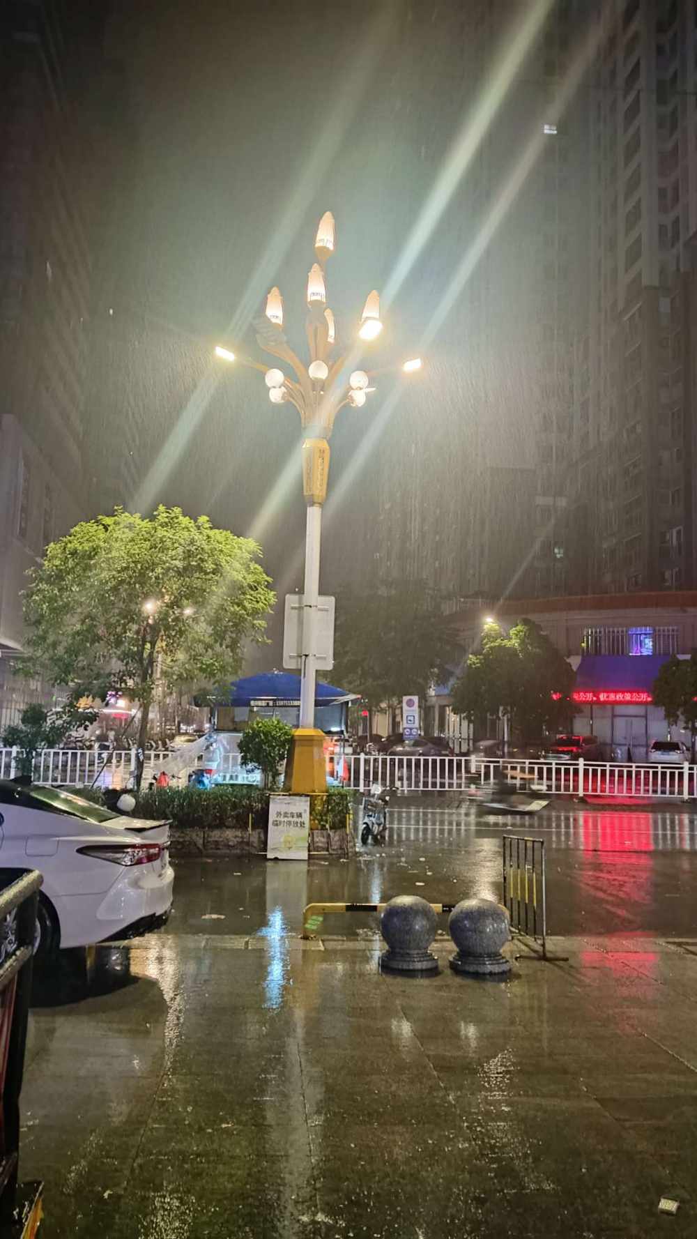 软 糖发布的第1张图片