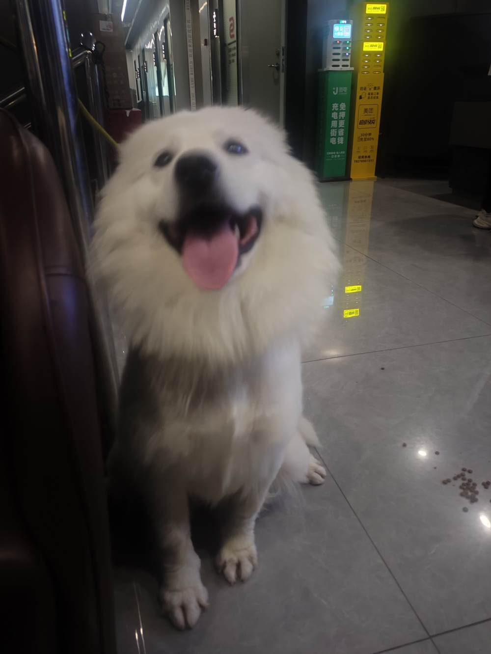 汤圆不好次发布的第3张图片