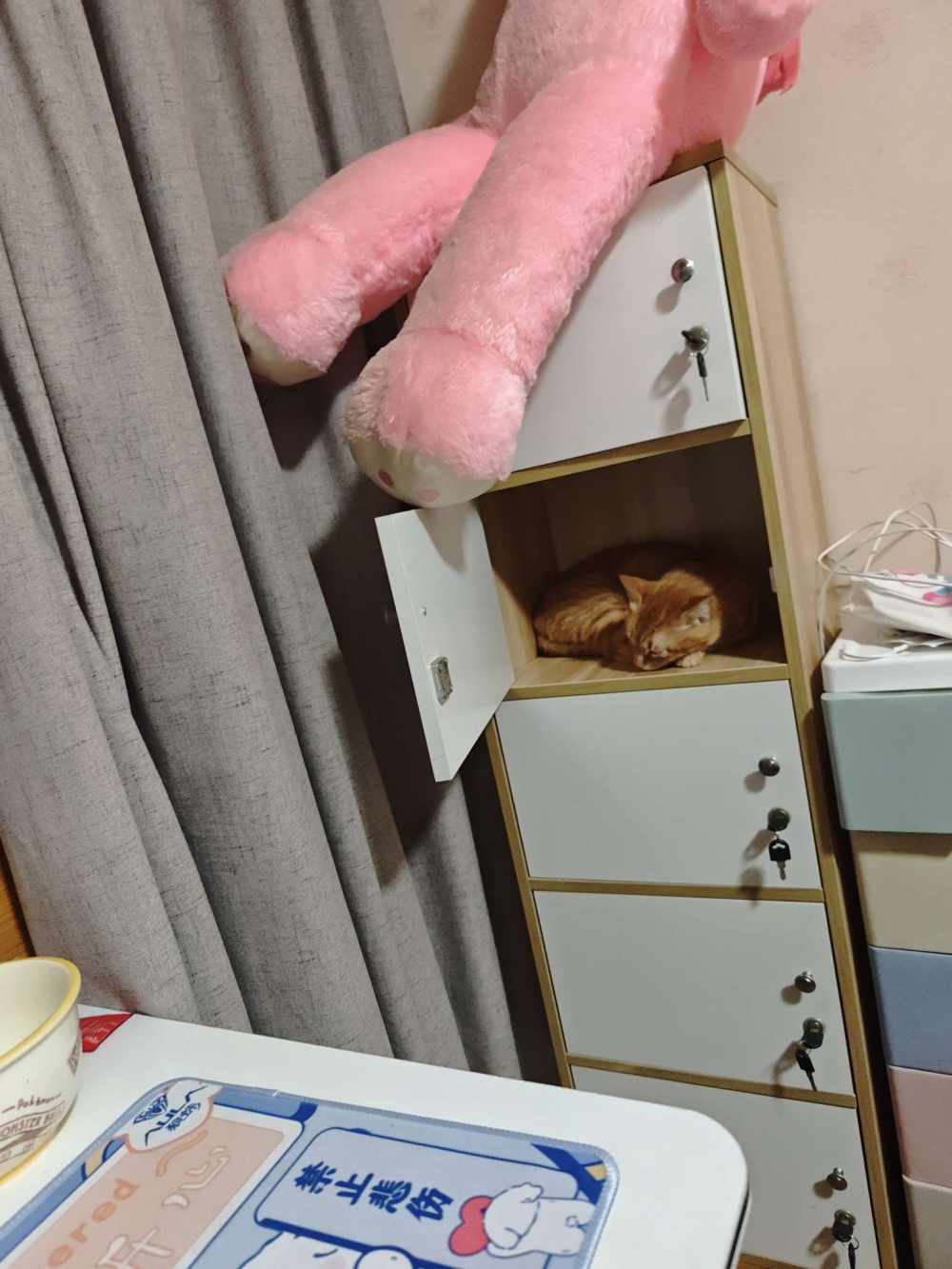 落星千灯发布的第2张图片