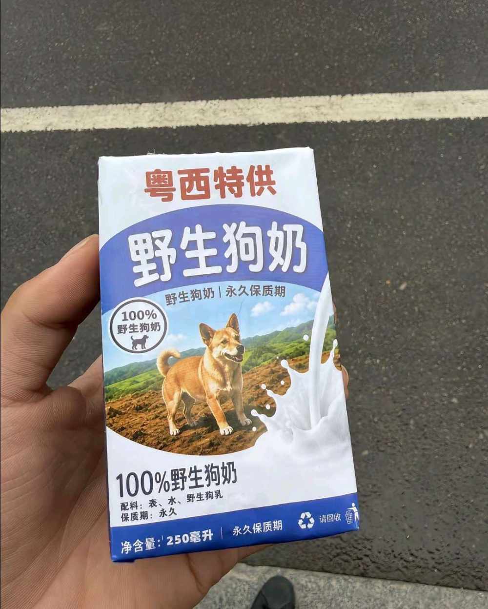 白色恋人.发布的第1张图片