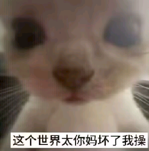 恂云发布的第2张图片