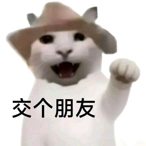 别碰我的齐刘海.发布的第1张图片