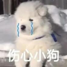 小韓灬发布的第1张图片