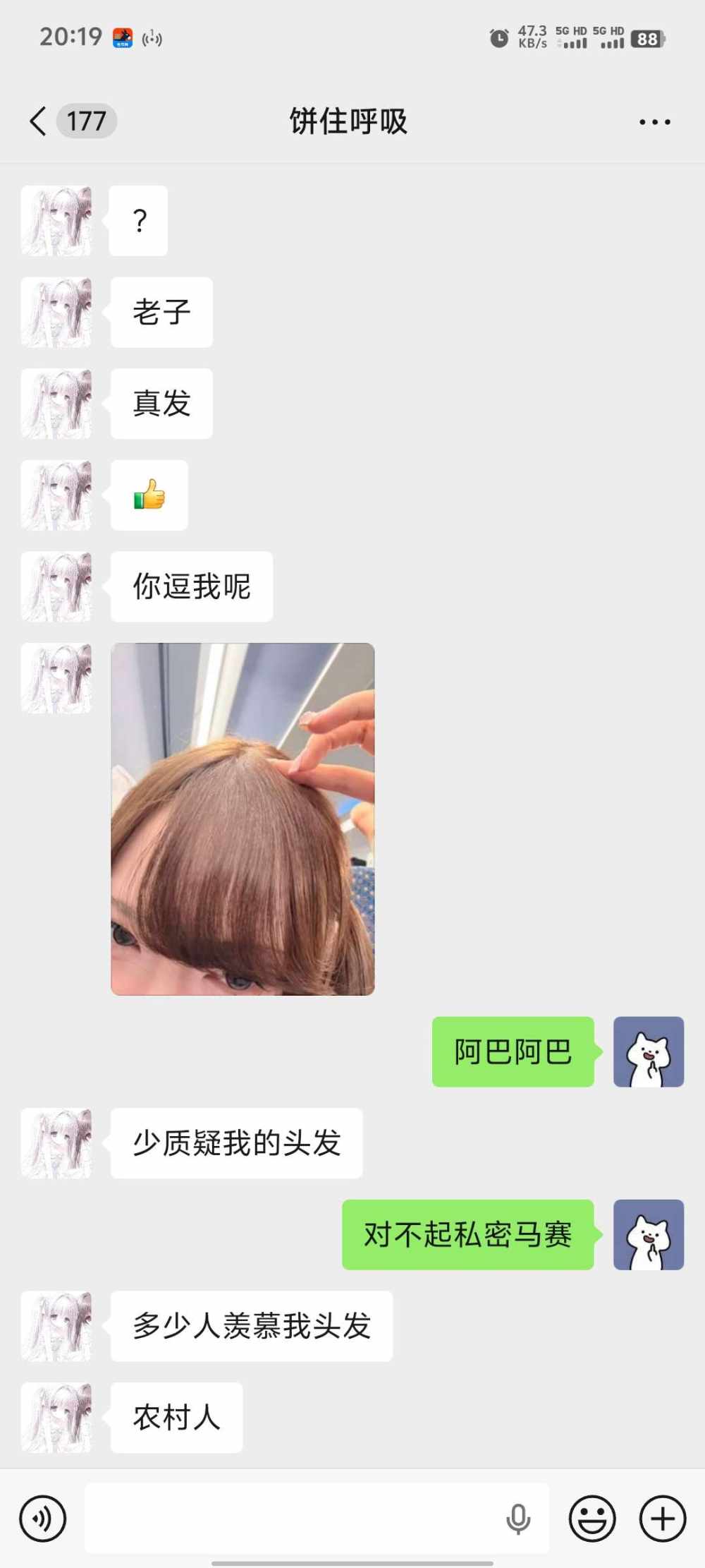 少爷命发布的第2张图片