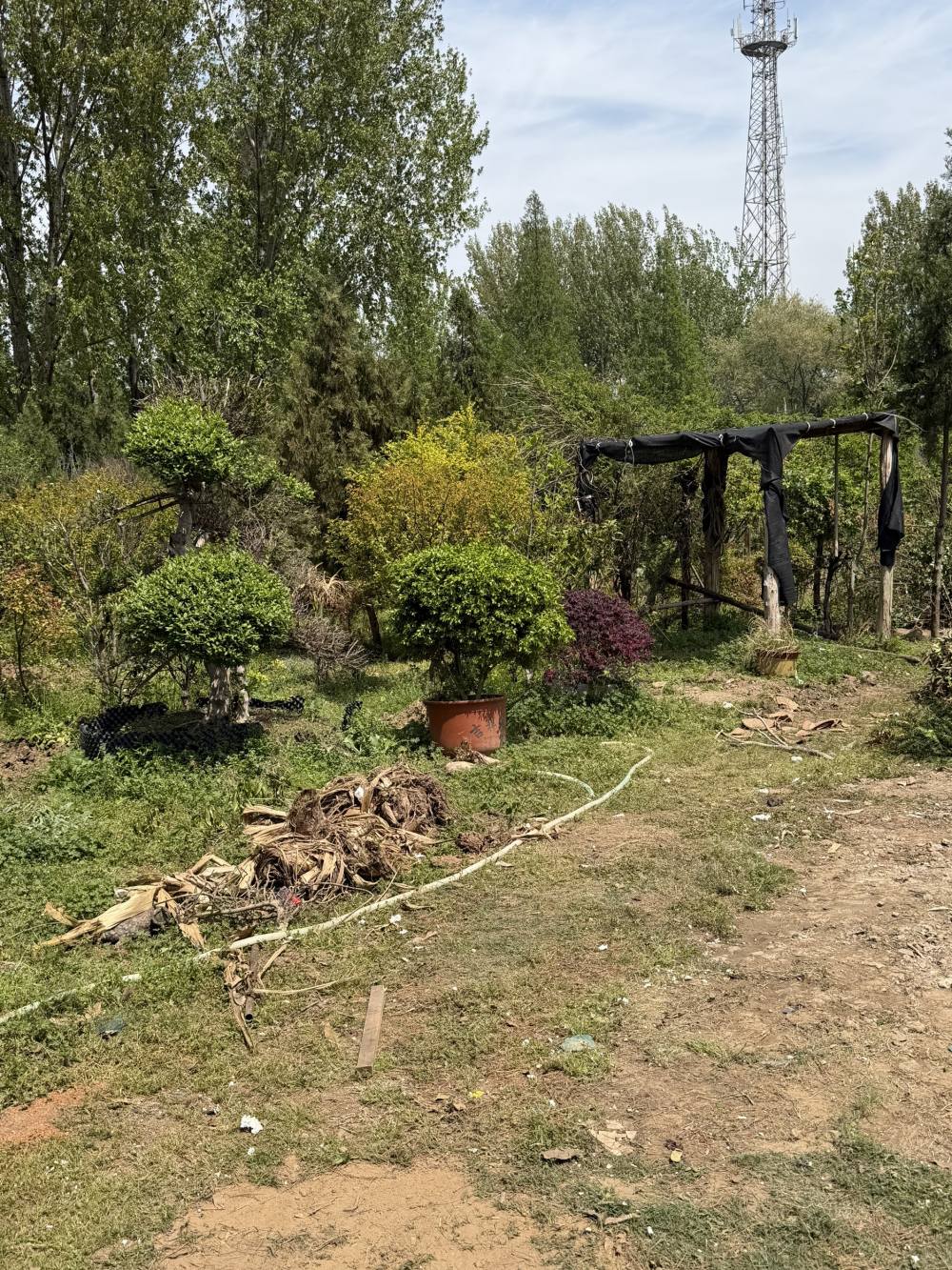 迷失自我ok发布的第1张图片