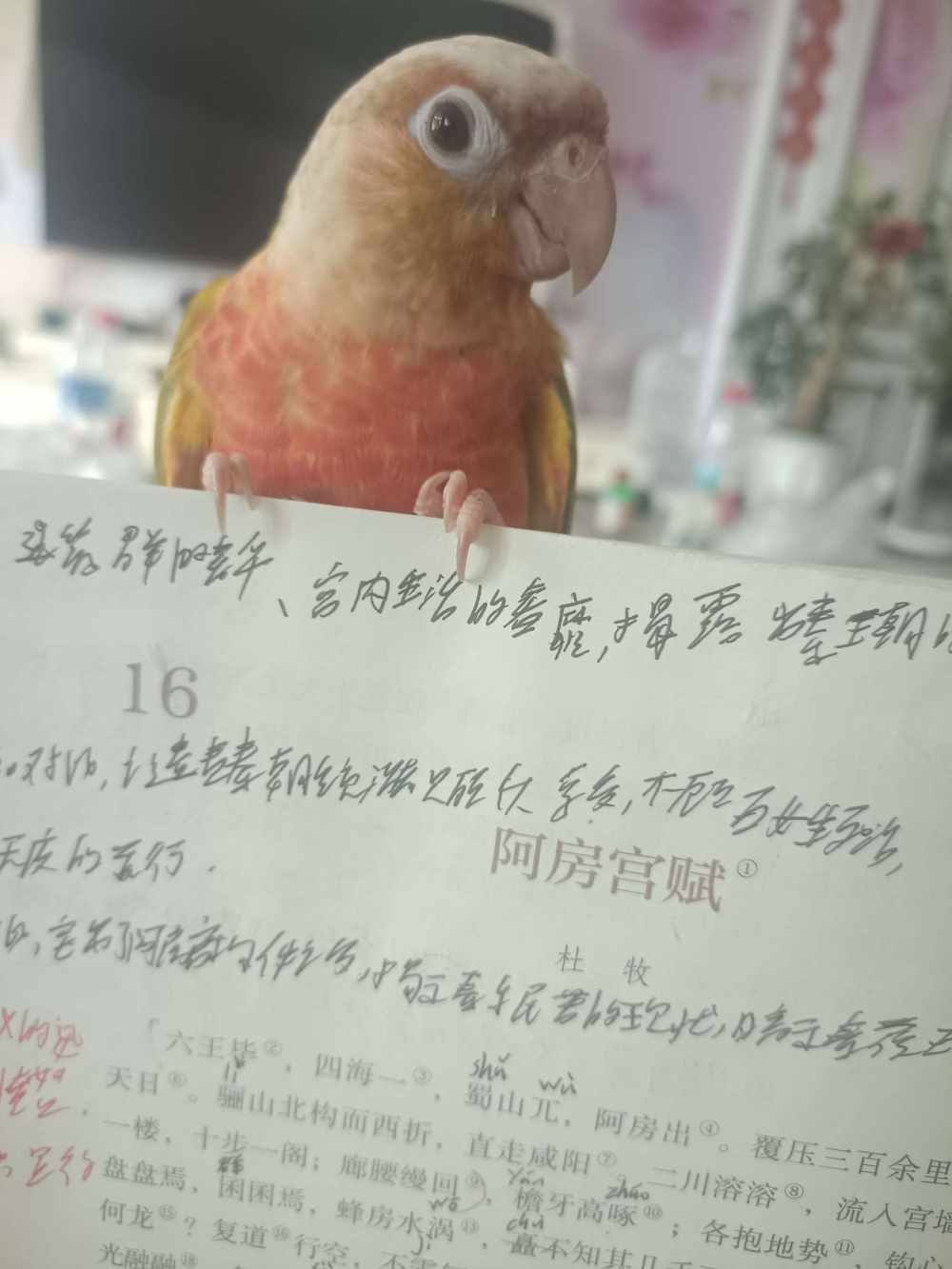 黑霖发布的第2张图片
