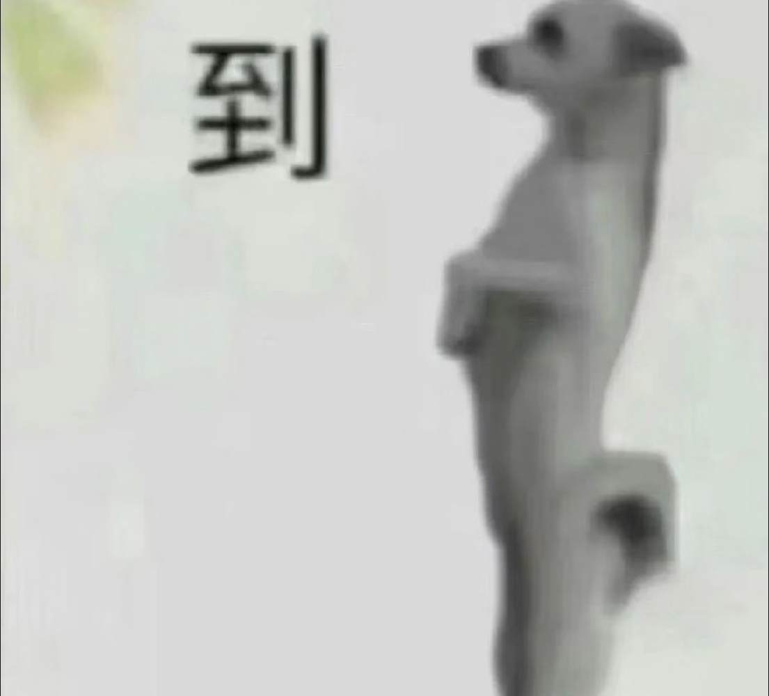 🐂🐎公老虎发布的第1张图片
