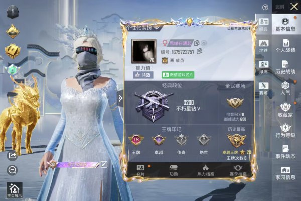 和平精英服务图片2